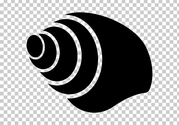 Seashell Computer Icons Conch Snail PNG, Clipart, Black, Black And White, Circle, Computer Icons, Conch Free PNG Download