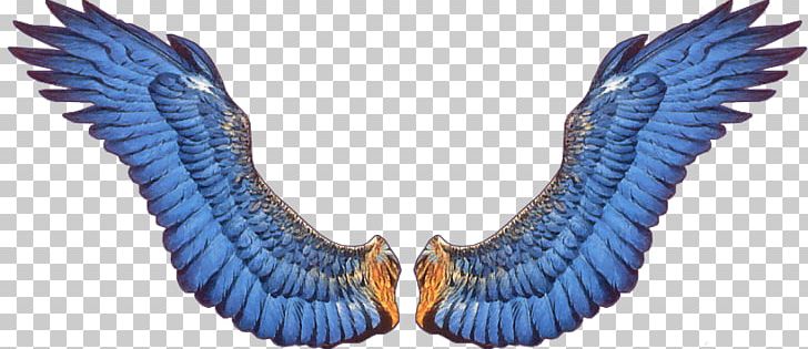 Animation Aile PhotoScape PNG, Clipart, Aile, Angel, Angel Wings, Animation, Beak Free PNG Download