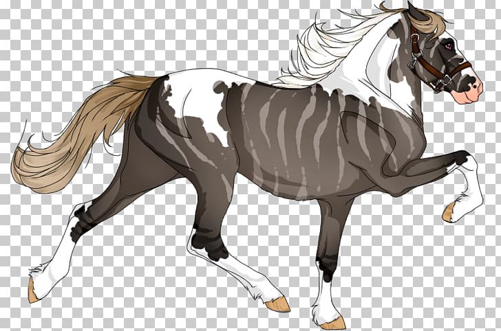 Mane Foal Horse Stallion Pony PNG, Clipart, Animals, Bit, Bridle, Energetic, English Riding Free PNG Download