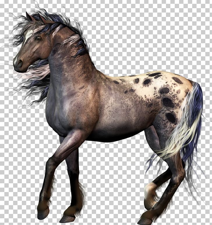 Mustang American Paint Horse Colt Foal PNG, Clipart, American Paint Horse, Animal, Animals, Colt, Course De Chevaux Free PNG Download