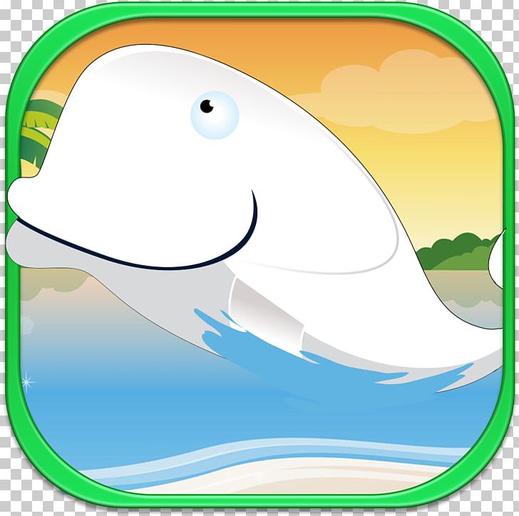 Porpoise Cetacea Marine Mammal PNG, Clipart, Area, Art, Cetacea, Dolphin, Fish Free PNG Download
