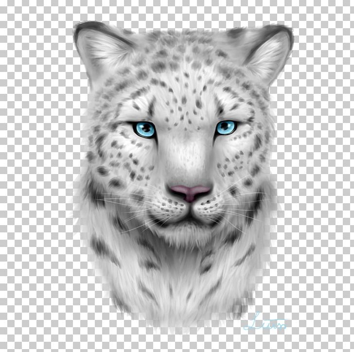 Snow Leopard Whiskers Magic: The Gathering Unstable PNG, Clipart, Animals, Art, Big Cats, Black And White, Carnivoran Free PNG Download