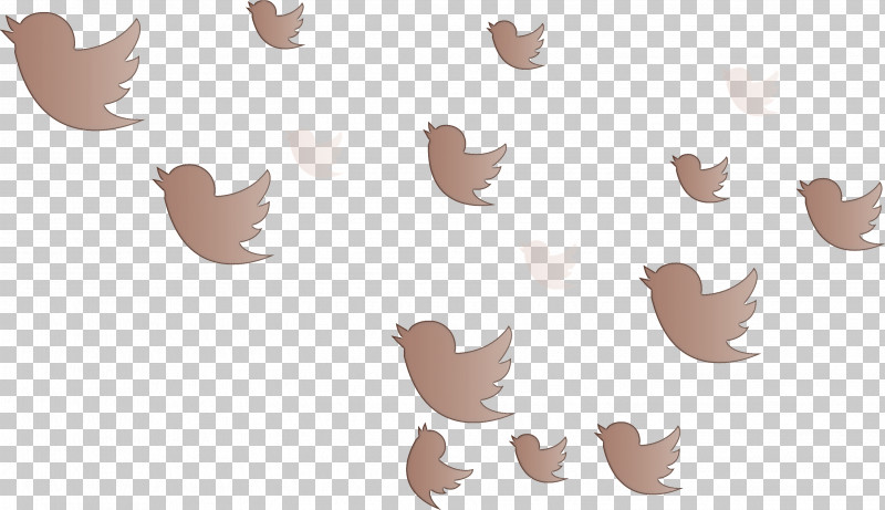 Twitter Flying Birds Birds PNG, Clipart, Beige, Birds, Brown, Flying Birds, Leaf Free PNG Download