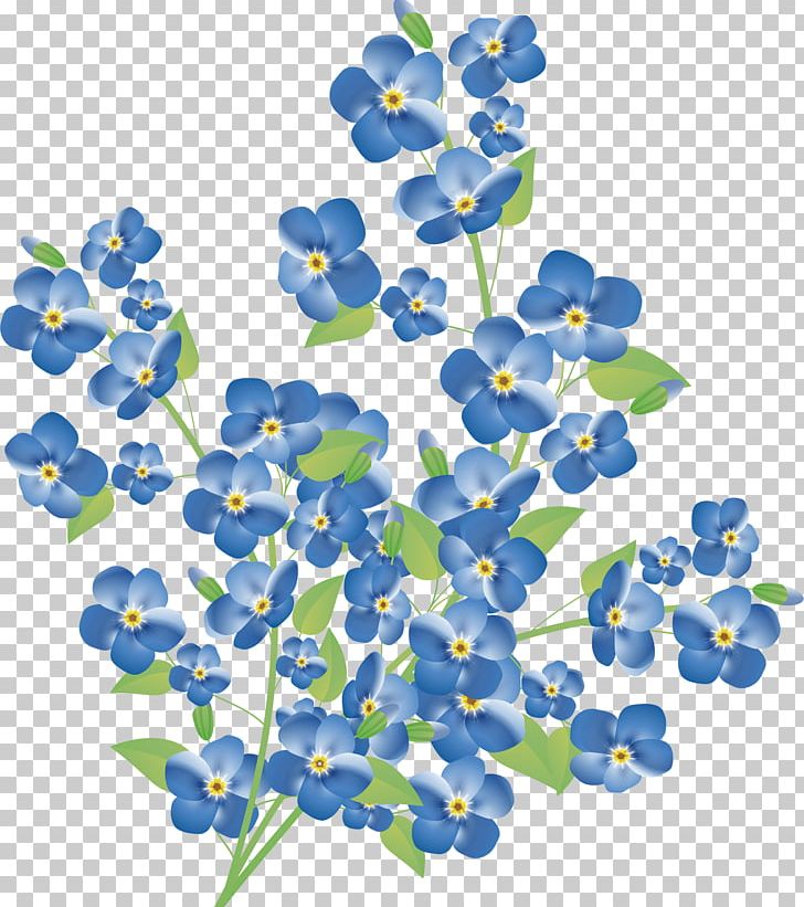 Myosotis Arvensis Flower PNG, Clipart, Blue, Bluebonnet, Can Stock Photo, Clip Art, Desktop Wallpaper Free PNG Download