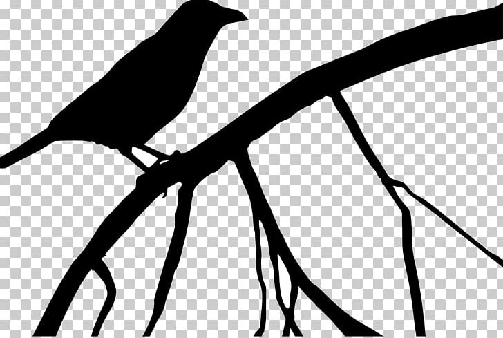 The Birds Common Raven Bird Of Prey PNG, Clipart, Animals, Beak, Bird, Bird Flight, Bird Of Prey Free PNG Download