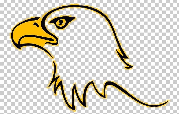 Bald Eagle Colonel Crawford High School PNG, Clipart, Artwork, Bald Eagle, Beak, Bird, Bird Of Prey Free PNG Download