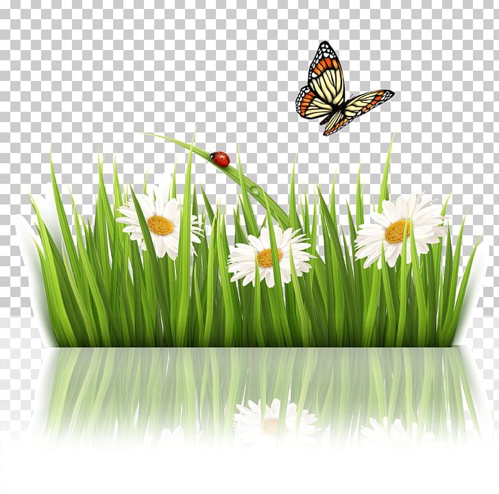 Nature Green Flower PNG, Clipart, Blue, Butterfly, Can Stock Photo, Color, Commodity Free PNG Download