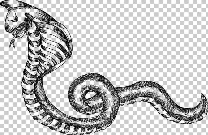 Black And White Snake PNG, Clipart, Animals, Artwork, Black And White, Body Jewelry, Download Free PNG Download