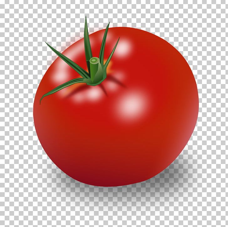 Cherry Tomato Vegetable PNG, Clipart, All Fruits, Bush Tomato, Cherry Tomato, Computer Icons, Diet Food Free PNG Download