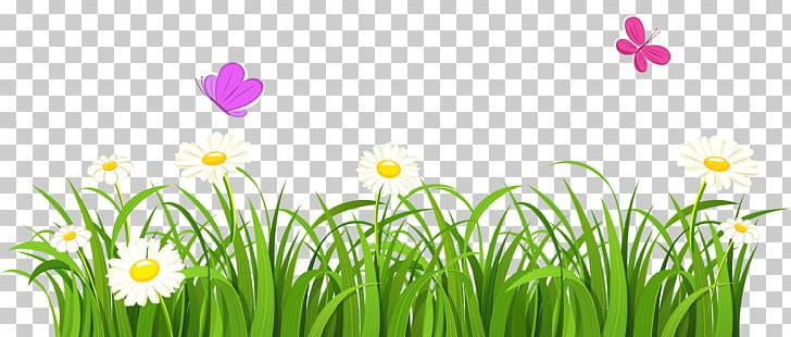Grasses Flower PNG, Clipart, Bee, Border, Clip Art, Cliparts Grass Border, Computer Wallpaper Free PNG Download