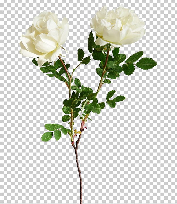 Red Flower White PNG, Clipart, Artificial Flower, Branch, Color, Cut Flowers, Floral Design Free PNG Download