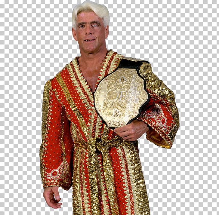Ric Flair World Heavyweight Championship WWE Raw WWE Championship Big Gold Belt PNG, Clipart, Champion, Charlotte Flair, Cope, Costume, Costume Design Free PNG Download