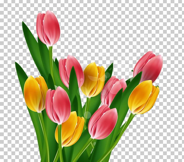 Tulip Mothers Day PNG, Clipart, Background Vector, Cut Flower, Designer, Encapsulated Postscript, Fine Arts Free PNG Download
