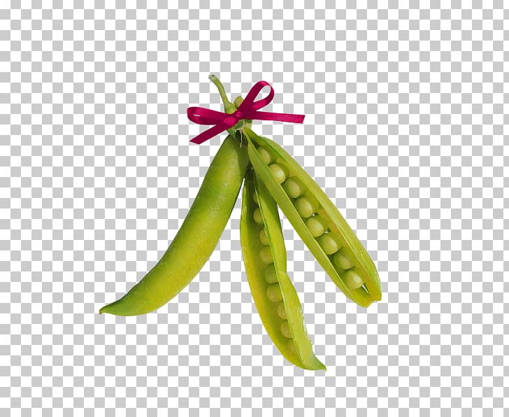 Vegetable Pea Food PNG, Clipart, Ahi, Auglis, Christmas Decoration, Decorative, Decorative Pattern Free PNG Download