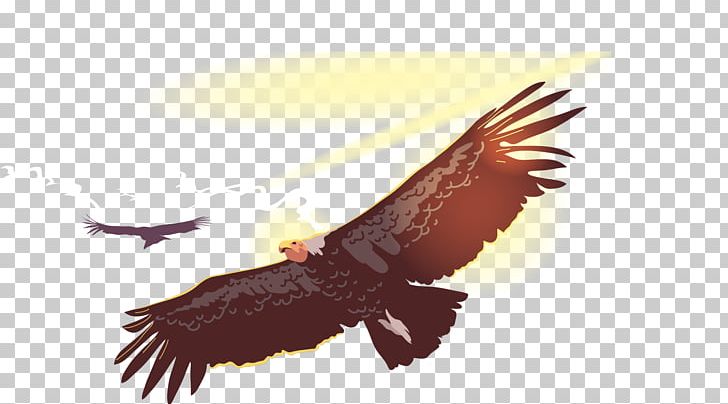Bird Flight Owl Condor PNG, Clipart, Accipitriformes, Andean Condor, Animal, Animals, Art Free PNG Download