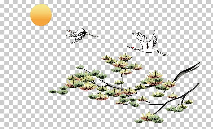 Cdr PNG, Clipart, Adobe Illustrator, Black White, Branch, Crane, Encapsulated Postscript Free PNG Download