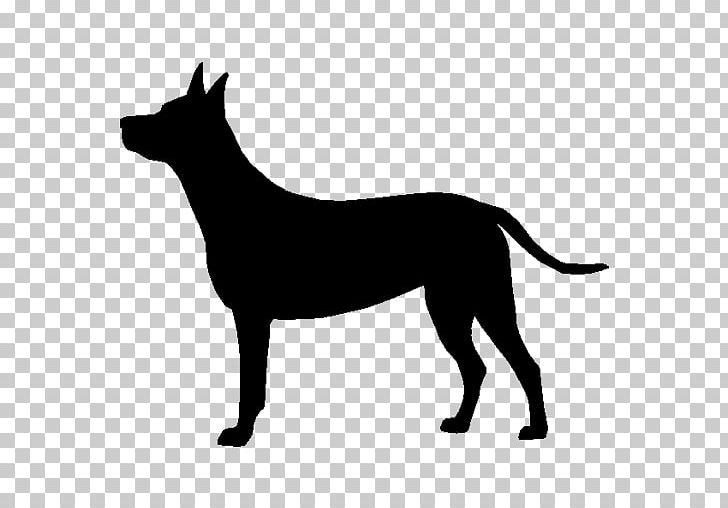 Dachshund Dobermann German Pinscher Rhodesian Ridgeback Beagle PNG, Clipart, Animals, Australian Kelpie, Black, Carnivoran, Dachshund Free PNG Download