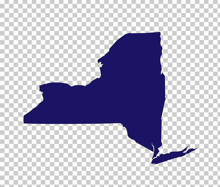 New York City Organization New York State AFL-CIO Capital District Area Labor Federation PNG, Clipart, Albany, Andrew Cuomo, Angle, Blue, Capital District Area Labor Free PNG Download