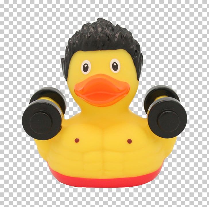 Rubber Duck Weight Training Bodybuilding Toy PNG, Clipart, Amazonetta, Animals, Bathing, Bathroom, Bathtub Free PNG Download