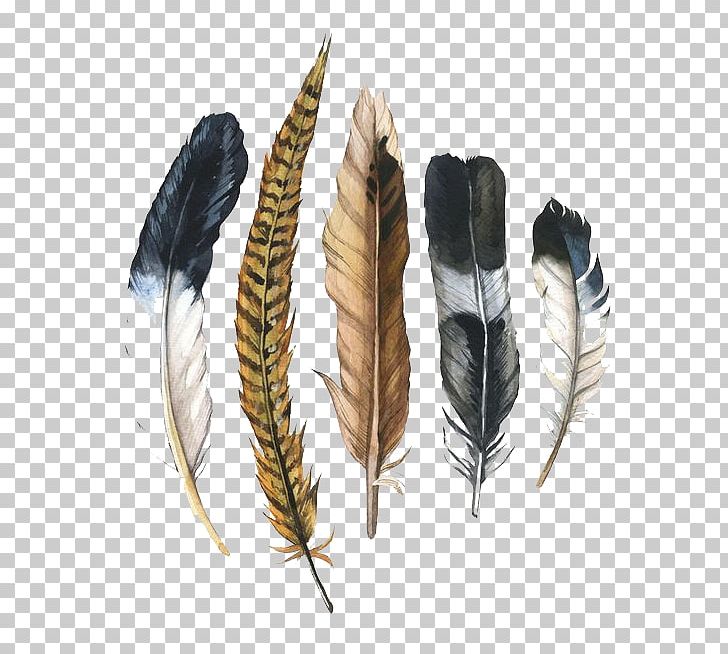 Watercolor Painting Feather Drawing Illustration PNG, Clipart, Animals, Art, Black, Cartoon, Decorate Free PNG Download