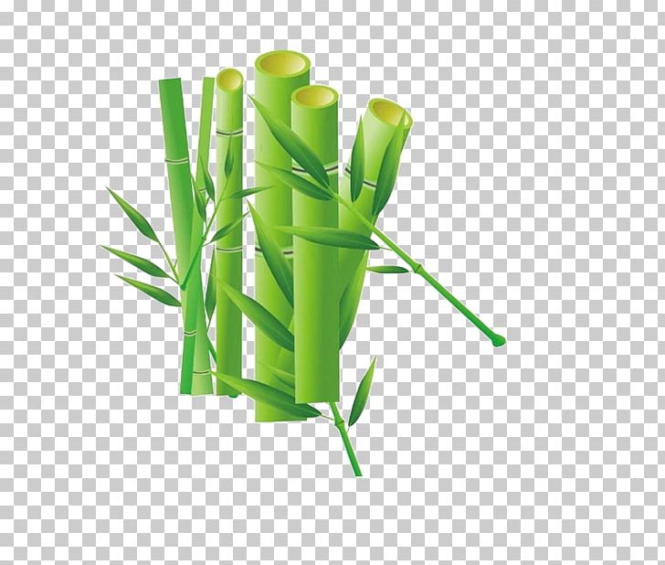 Bamboo Drawing Cartoon PNG, Clipart, Art, Computer Icons, Creative, Decorative, Design Element Free PNG Download