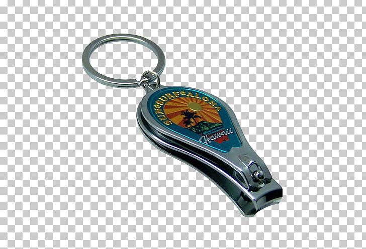 Key Chains KC Hawaii Turtle PNG, Clipart, Animals, Chain, Fashion Accessory, Hardware, Hawaii Free PNG Download