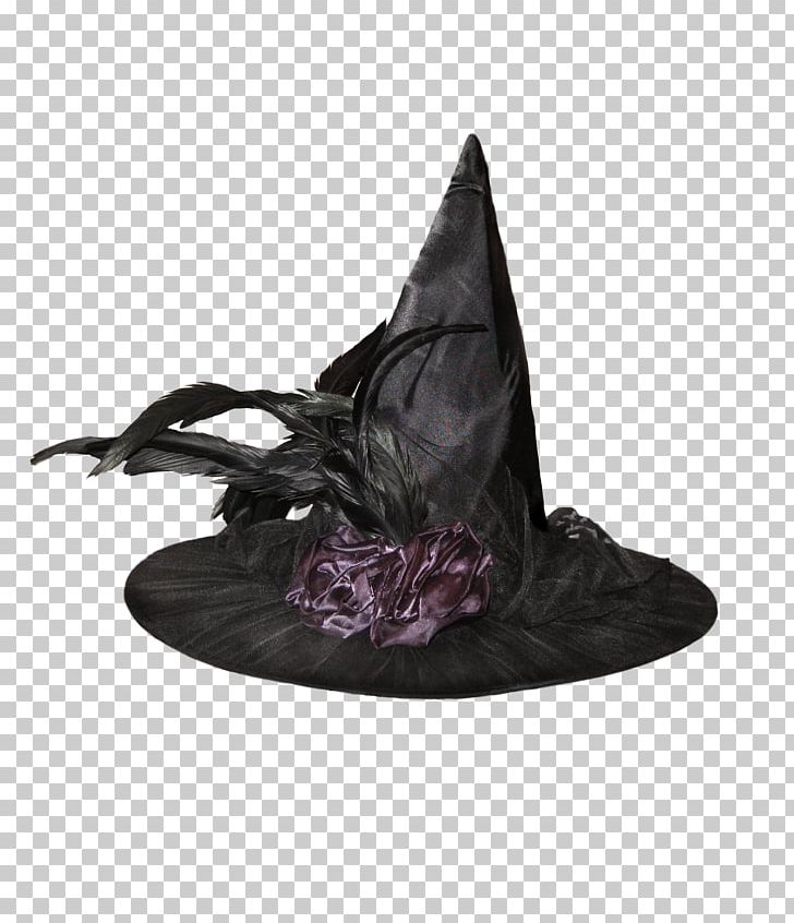 Witch Hat Boszorkxe1ny Magician PNG, Clipart, Black, Black Hat, Bonnet, Boszorkxe1ny, Chef Hat Free PNG Download