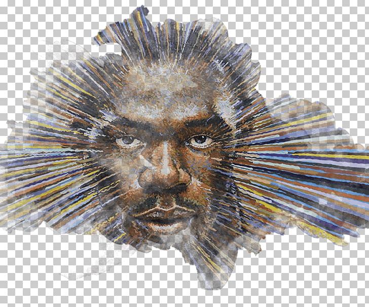 Porcupine Whiskers Snout Fauna PNG, Clipart, Fauna, Organism, Others, Porcupine, Snout Free PNG Download