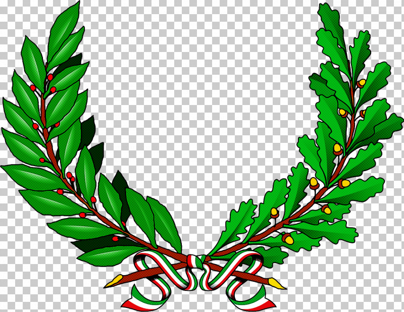 Holly PNG, Clipart, Branch, Flower, Holly, Leaf, Plant Free PNG Download