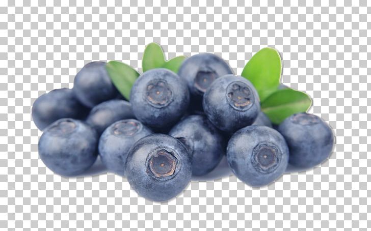 Blueberry Raspberry Blackberry Fruit PNG, Clipart, Berry, Bilberry, Blackberry, Blueberry, Blueberry Sauce Free PNG Download