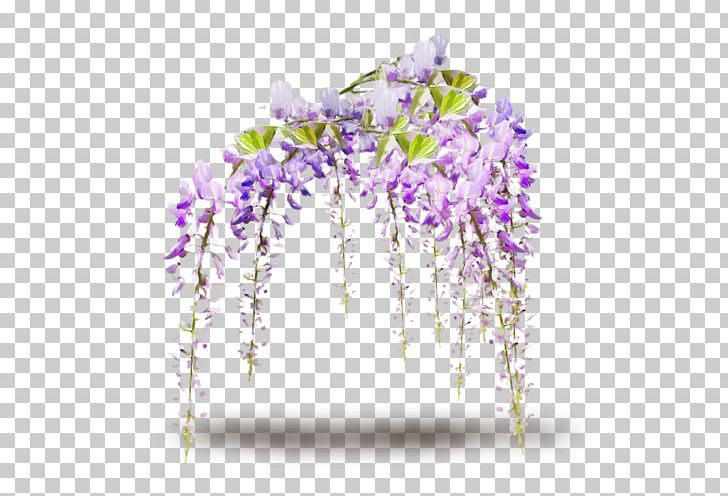Flower Vine PNG, Clipart, Artificial Flower, Blossom, Branch, Cut Flowers, Encapsulated Postscript Free PNG Download