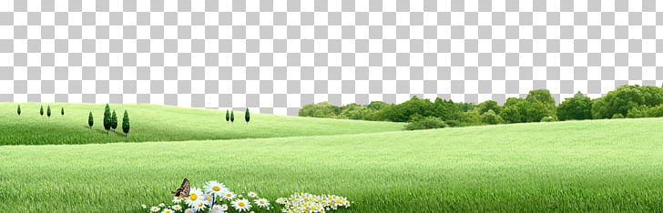 Flowers And Grass Elements PNG, Clipart, Agriculture, Brand, Crop, Decorative Patterns, Ecological Farm Free PNG Download