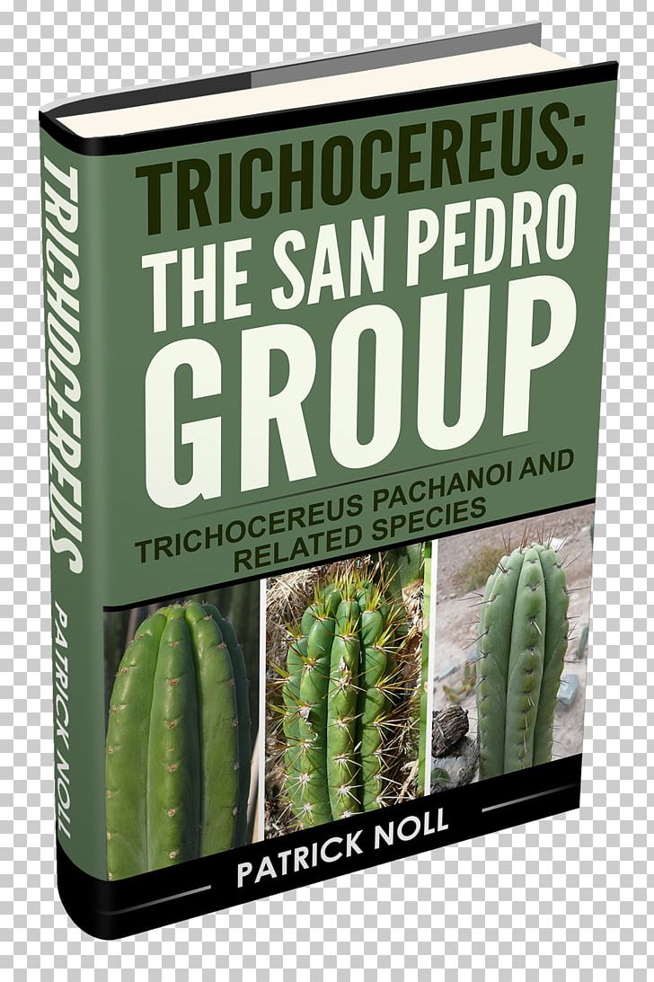 San Pedro Cactus Cactaceae Mescaline Plant Echinopsis Spachiana PNG, Clipart, Bolivia, Book, Botany, Cactaceae, Crowdfunding Free PNG Download