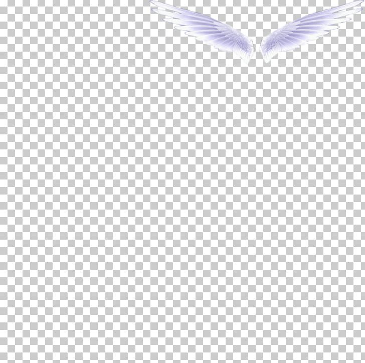 White Black Angle Pattern PNG, Clipart, Angel, Angels, Angel Wing, Angel Wings, Angle Free PNG Download