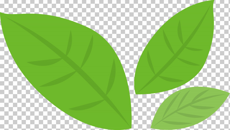 Banana Leaf PNG, Clipart, Banana Leaf, Green, Leaf, Plant, Symmetry Free PNG Download