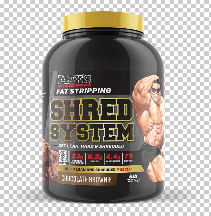 Dietary Supplement Whey Protein Isolate Optimum Nutrition Gold Standard 100% Whey PNG, Clipart, Bodybuilding Supplement, Dietary Supplement, Filtration, Flavor, Health Free PNG Download