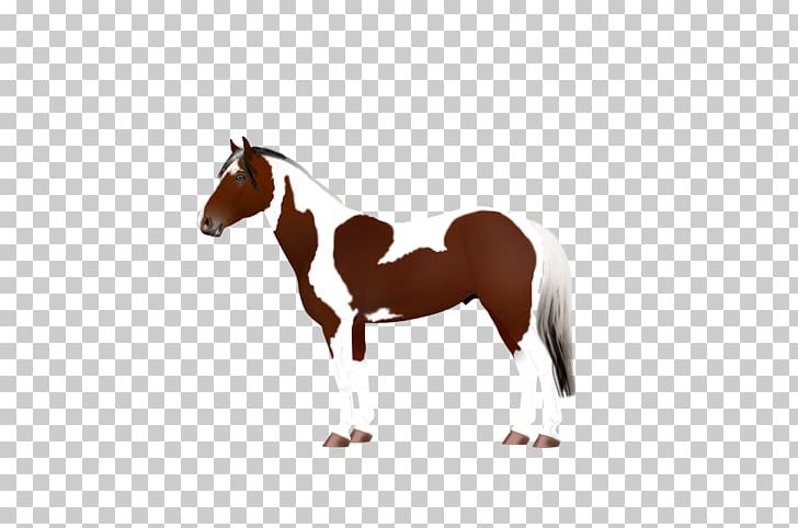 Mustang Stallion Mare Rein Halter PNG, Clipart, Mare, Mustang, Stallion Free PNG Download