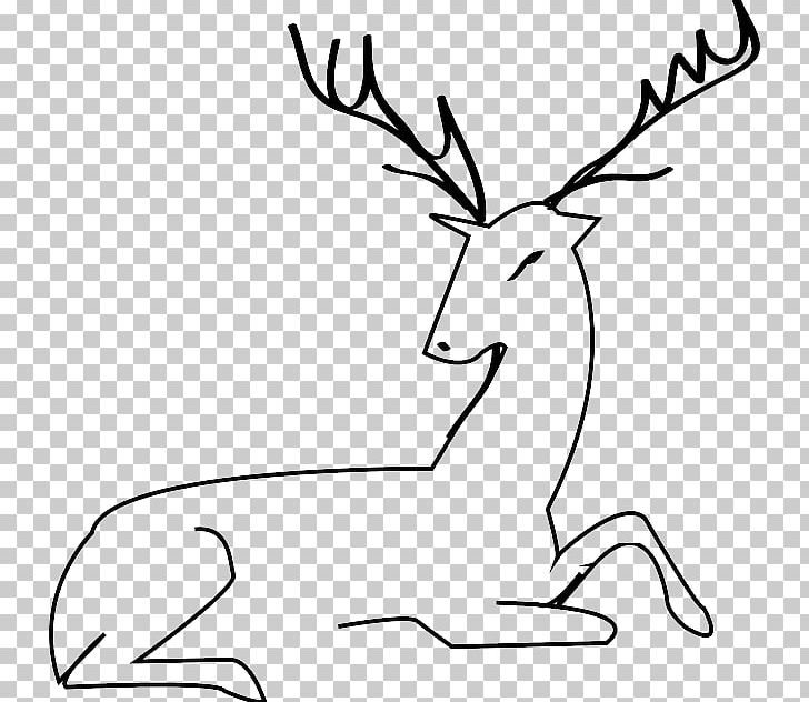 White-tailed Deer Reindeer Red Deer PNG, Clipart, Animals, Antler, Black And White, Coloring Book, Deer Free PNG Download
