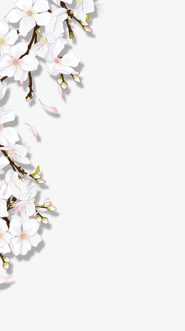 Blooming Flowers PNG, Clipart, Branch, Cartoon, Cherry Blossom, Coreldraw, Design Free PNG Download