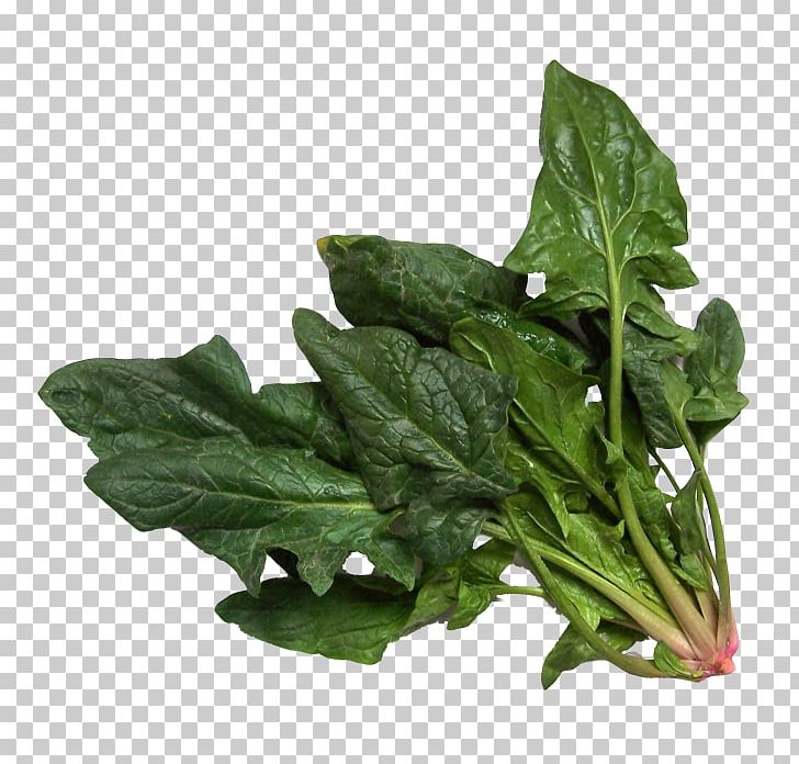 Spinach Salad Vegetable Chard PNG, Clipart, Cannelloni, Chard, Choy Sum, Collard Greens, Food Free PNG Download