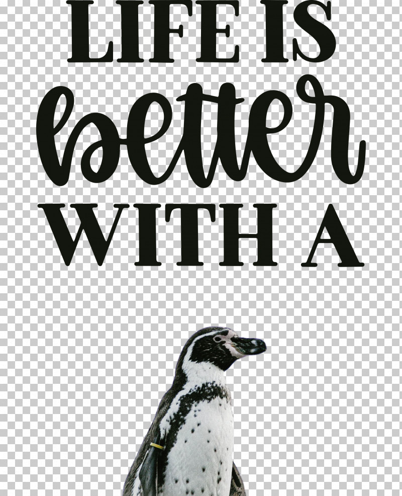 Life Better PNG, Clipart, Altavista, Beak, Better, Biology, Birds Free PNG Download