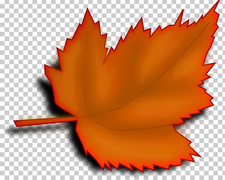 Autumn Leaf Color Maple Leaf PNG, Clipart, Autumn, Autumn Leaf Color, Color, Desktop Wallpaper, Flower Free PNG Download