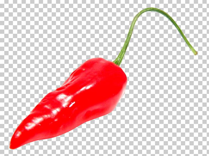 Chili Con Carne Bell Pepper Chili Pepper Portable Network Graphics Serrano Pepper PNG, Clipart,  Free PNG Download