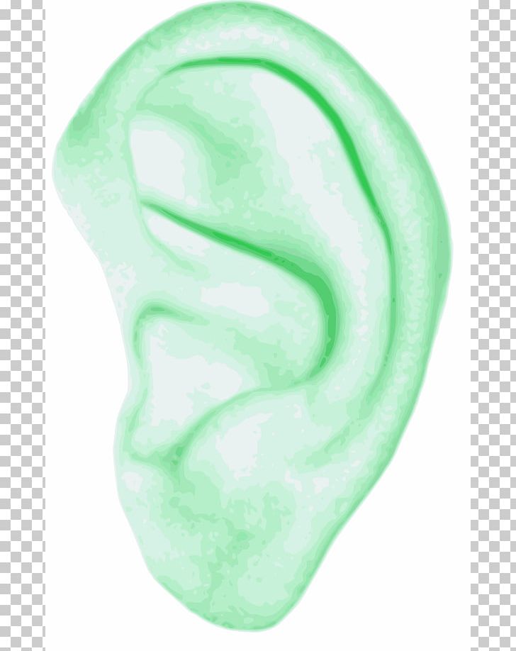 Ear Human Body PNG, Clipart, Anatomy, Art, Computer Icons, Ear, Green Free PNG Download