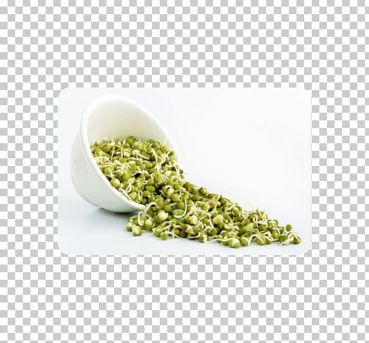 Raw Foodism Sprouting Mung Bean Sprout Nutrition PNG, Clipart, Bean, Broccoli Sprouts, Carrot, Cooking, Food Free PNG Download