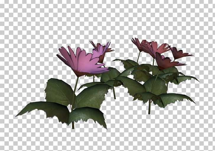 Rosaceae VIP Radio Petal Flowerpot PNG, Clipart, Email, Facebook, Flower, Flowering Plant, Flowerpot Free PNG Download