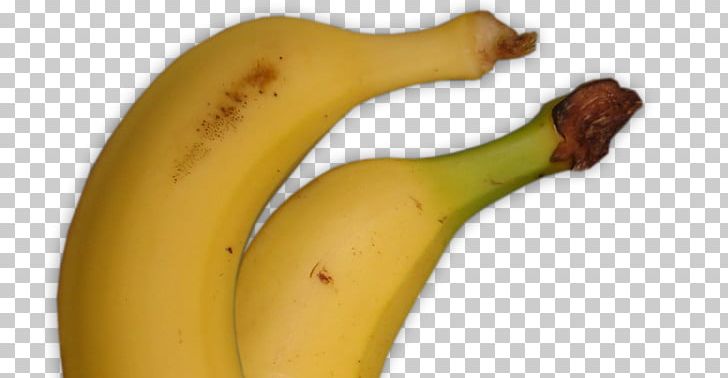 Banana PNG, Clipart, Banana, Banana Family, Food, Fruit, Plant Free PNG Download