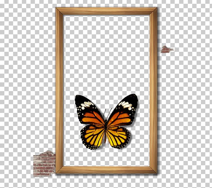 Butterfly Frame Computer File PNG, Clipart, Arthropod, Border Frame, Brush Footed Butterfly, Butterfly, Concise Free PNG Download