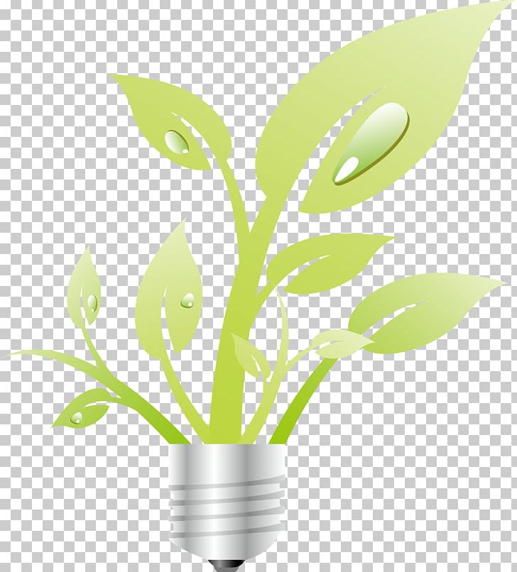 Green Icon PNG, Clipart, Branch, Drawing, Ecology, Encapsulated Postscript, Euclidean Vector Free PNG Download