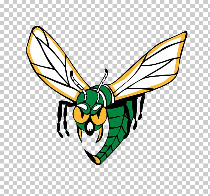 Edina High School Elk River Student PNG, Clipart, Artwork, Butterfly, Centennial High School, Classroom, Edina Free PNG Download